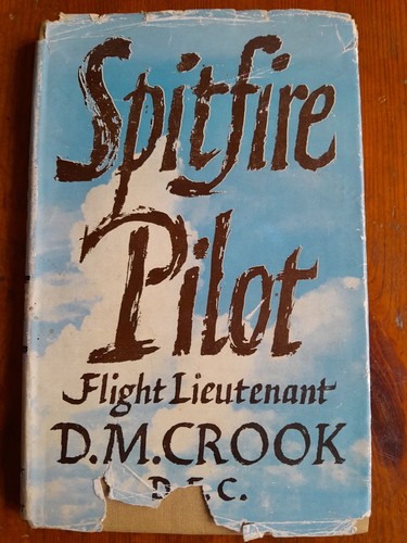 Spitfire pilot - spitfire, by