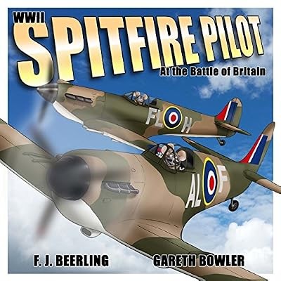 Wwii spitfire pilot the - in,