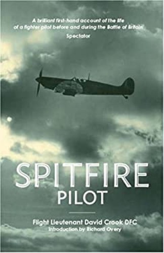 Spitfire pilot paperback david - pilot,
