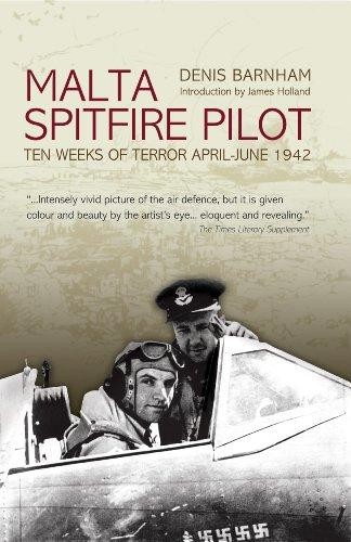 Malta spitfire pilot - spitfire, ten