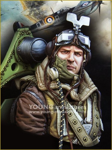 Young miniatures raf - miniatures,